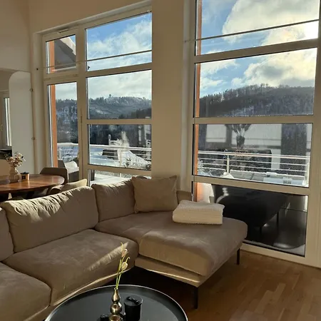 Stilvolle In Ruhiger Lage Apartment Willingen (Upland)